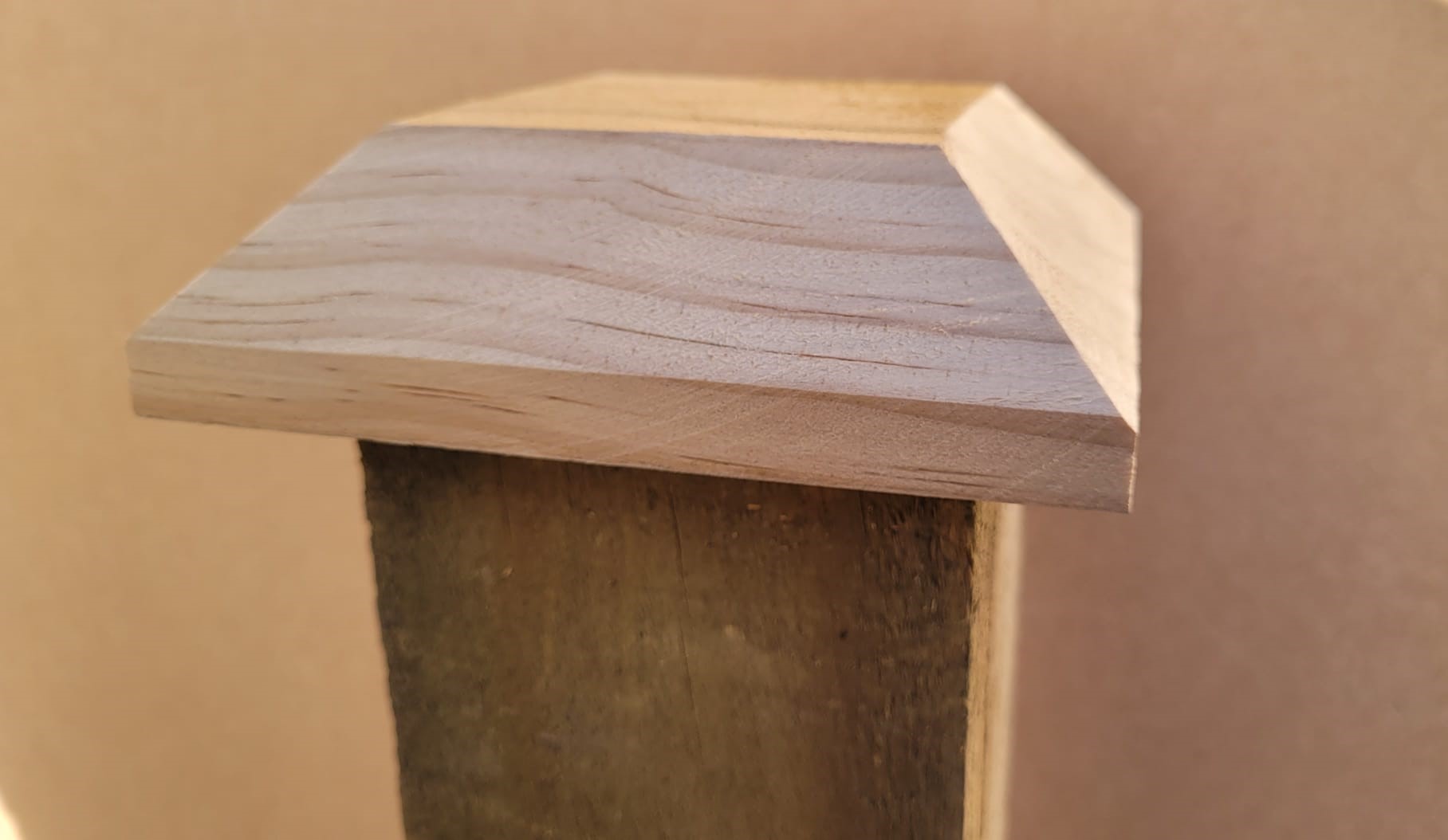 2cc8e9c4 9db9 4bd8 ba6a 4ff1192a4a3d 1